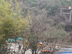-天目湖涵田度假村