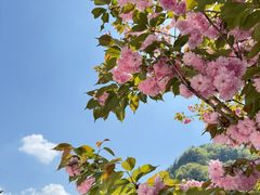 -明堂山风景区
