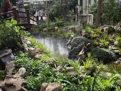 -石家庄市植物园