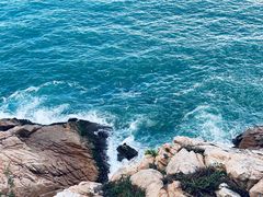-广东惠东海龟国家级自然保护区