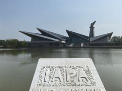 -盐城丹顶鹤湿地生态旅游区