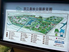 -上海滨江森林公园