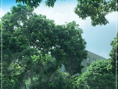 -松山湖凯悦酒店·Café自助餐厅·周末火舞秀表演
