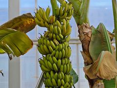 -中国农科院国家农业科技展示园