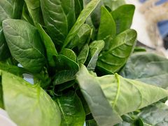 菠菜-帝皇海海鲜豆捞(桐泾商务广场店)