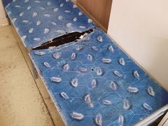 -北京大学肿瘤医院