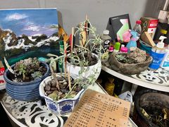 -沈记菜馆(酒仙桥路店)