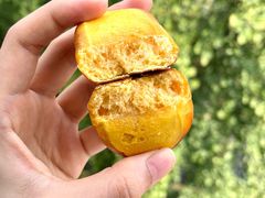 -POO PAN不胖面包