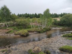 -塞罕坝国家级自然保护区