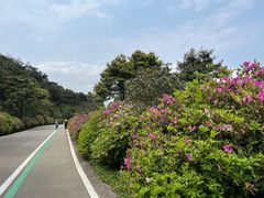 -梧桐山风景名胜区