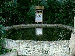 -金隅八达岭温泉度假村餐厅