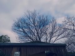 -上海佘山国家森林公园西佘山园