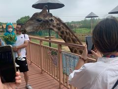 -鄂尔多斯野生动物园