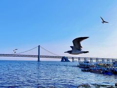 -蒙亘花·大连羊汤·呼盟全羊(老虎滩店)