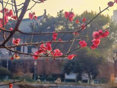 -月湖风景区