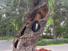 -长春市南湖公园