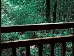 -藏龙百瀑风景区