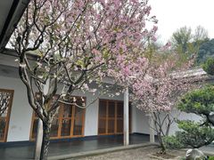 -杭州植物园