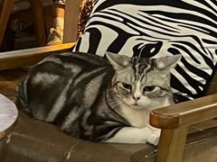 -咖法森林·咖啡  酒吧(天河店)