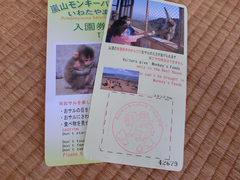 -岚山猴子公园