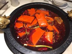 -孙毛肚火锅(春熙路店)
