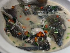 -老傅家湘潭水煮活鱼店(众一国际店)