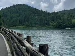 -武陵山森林公园