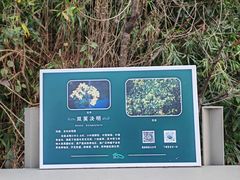 -福道