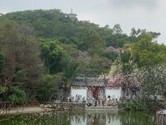 -深圳国际园林花卉博览园