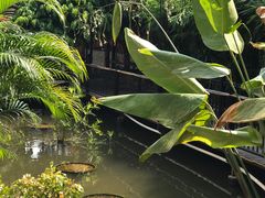 -鹅城