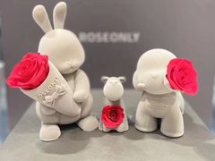 -ROSEONLY诺誓(国际广场购物中心店)