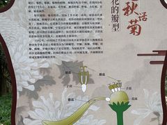 -杭州植物园