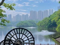 -重庆彩云湖湿地公园