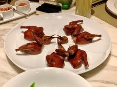 脆皮妙龄鸽-新荣记(新源南路店)