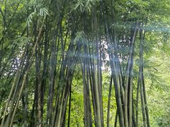 -成都杜甫草堂博物馆