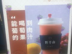 -野萃山·潮汕厚果汁(十亩地店)