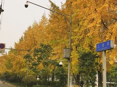 -邓记新一代糖油果子(四川煤管局供销公司职工宿舍店)