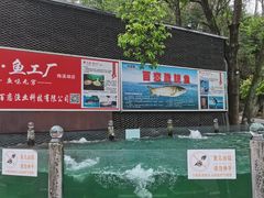 -天怡·鱼工厂(梅溪湖店)