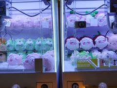 -爱玩嘉年华(合川财富广场店)