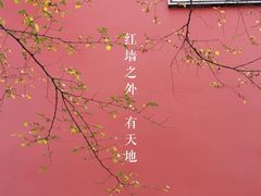 -乌山风景区