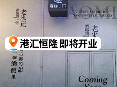 -港汇恒隆广场