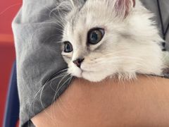 -瑞派福兴宠物医院犬猫全科·骨科·中西医结合(河东店)