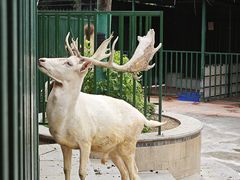 -海合安武汉极地海洋公园