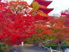 -有栖山 清光院 清水寺