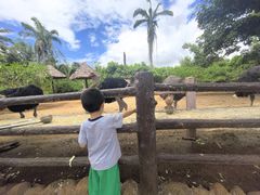 -海南热带野生动植物园