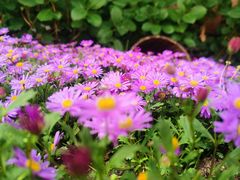 -郑州方特梦幻王国