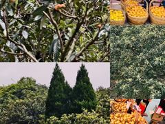 -新安江山水画廊风景区