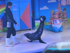 -成都浩海立方海洋公园