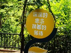 -太阳宫公园