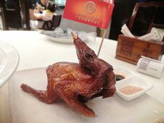 -侨美·唐荔园·40年地道粤菜